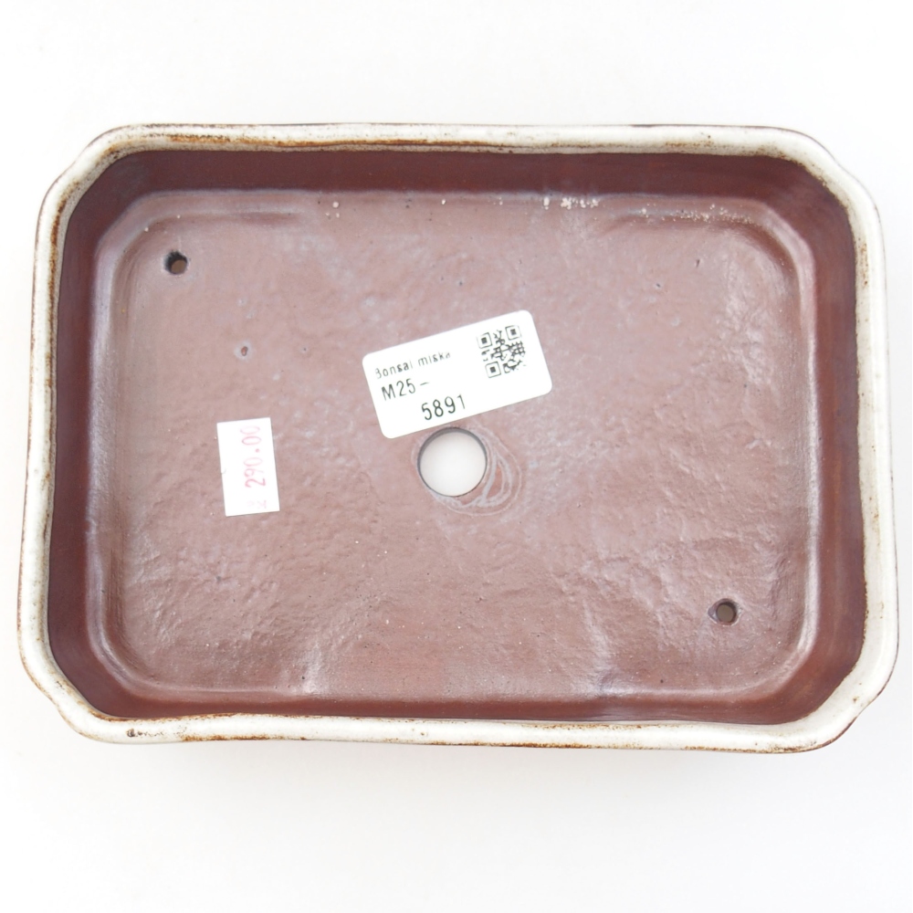 Ciotola bonsai in ceramica 22 x 17 x 5 cm, verde