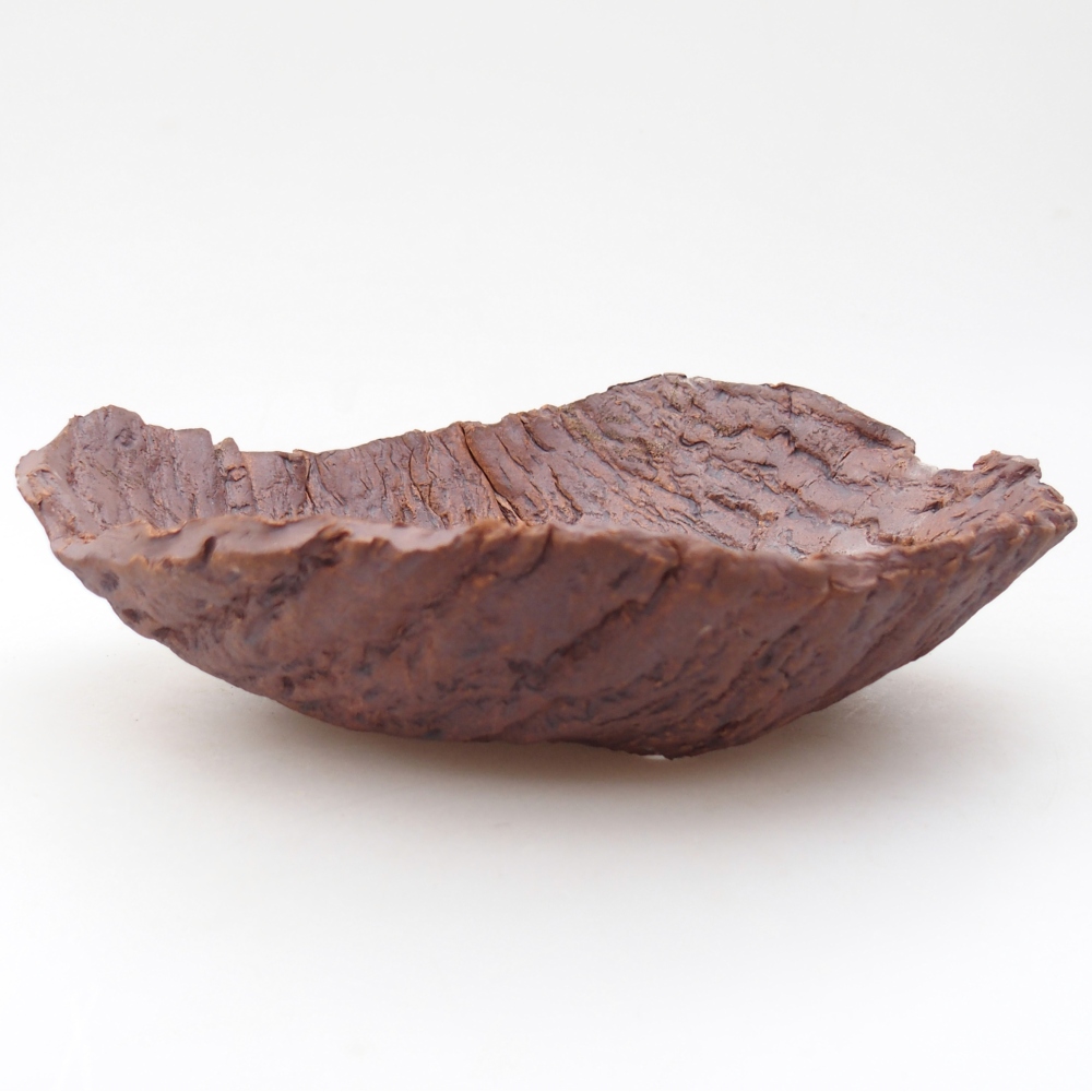 Conchiglia in ceramica 19 x 17 x 5 cm , colore marrone