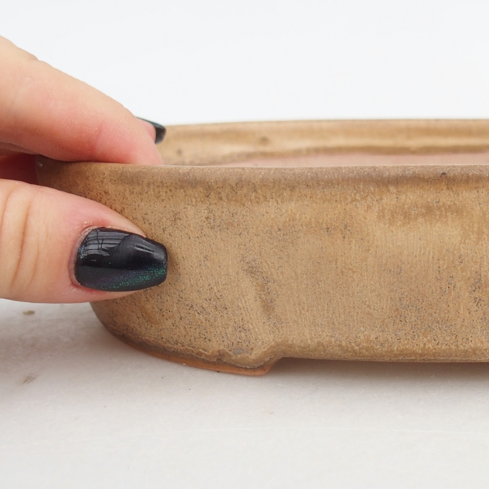 Ciotola bonsai in ceramica 17 x 14 x 4 cm, colore beige