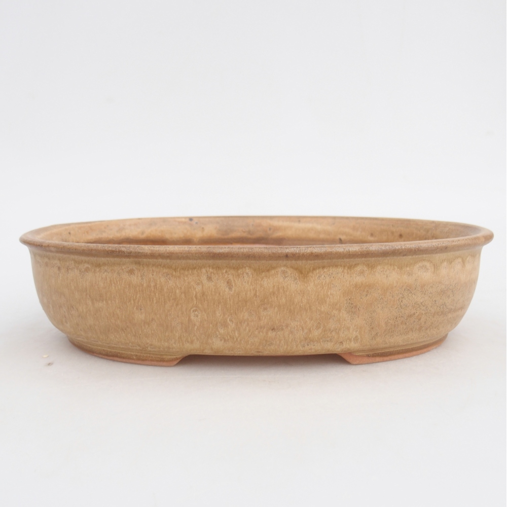 Ciotola per bonsai in ceramica 21,5 x 17 x 5 cm, colore beige