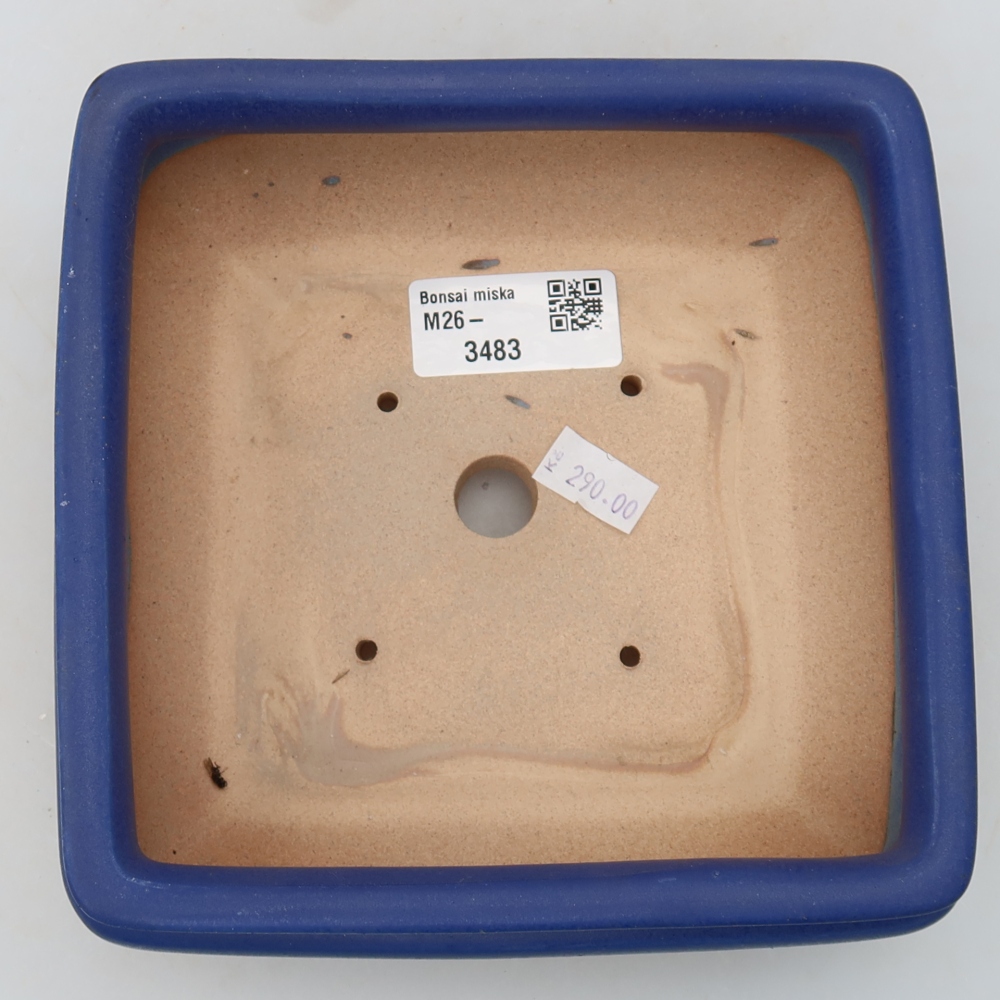 Vaso da bonsai in ceramica 15,5 x 15,5 x 6 cm, colore blu