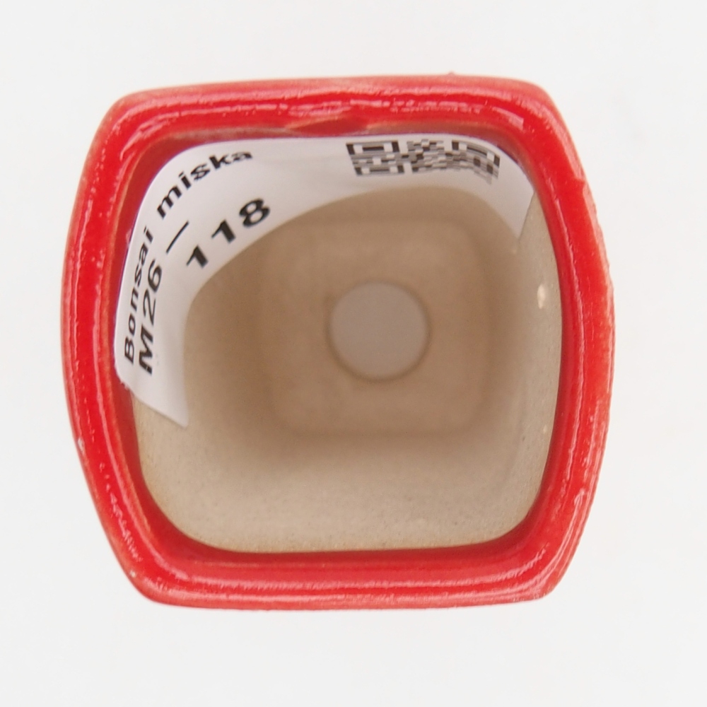 Mini bonsai 3,5 x 3 x 5,5 cm, colore rosso