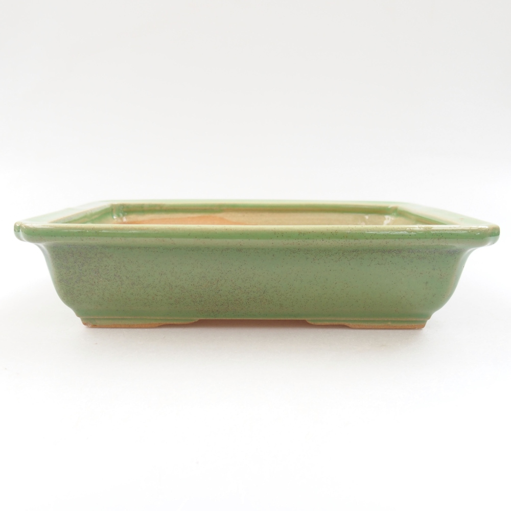 Ciotola bonsai in ceramica 22 x 17 x 5 cm, verde