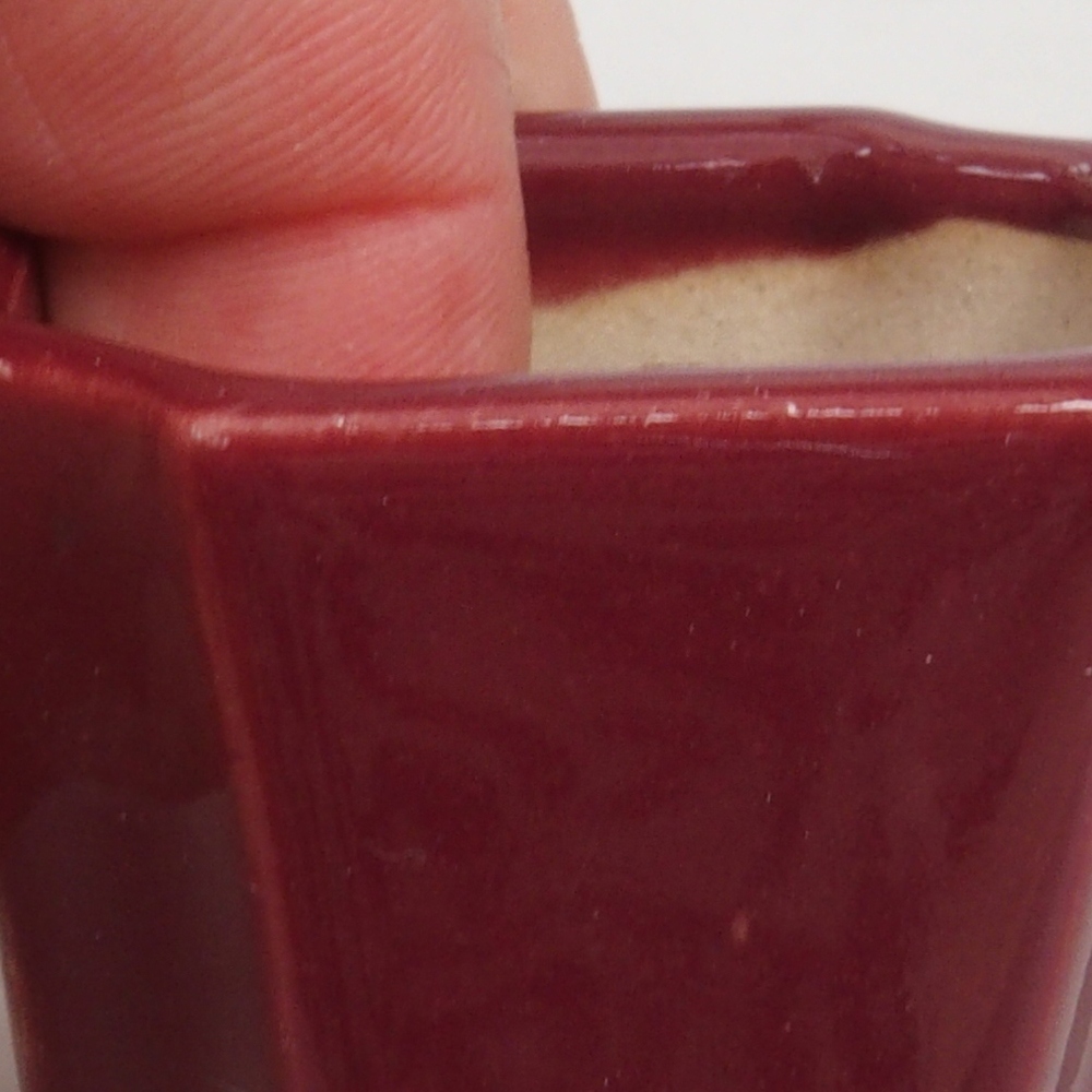 Ciotola per mini bonsai 4 x 4 x 4 cm, bordeaux