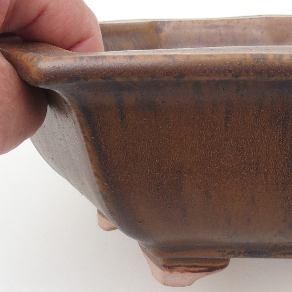 Ciotola per bonsai H53 - 19 x 21,5 x 7 cm - marrone