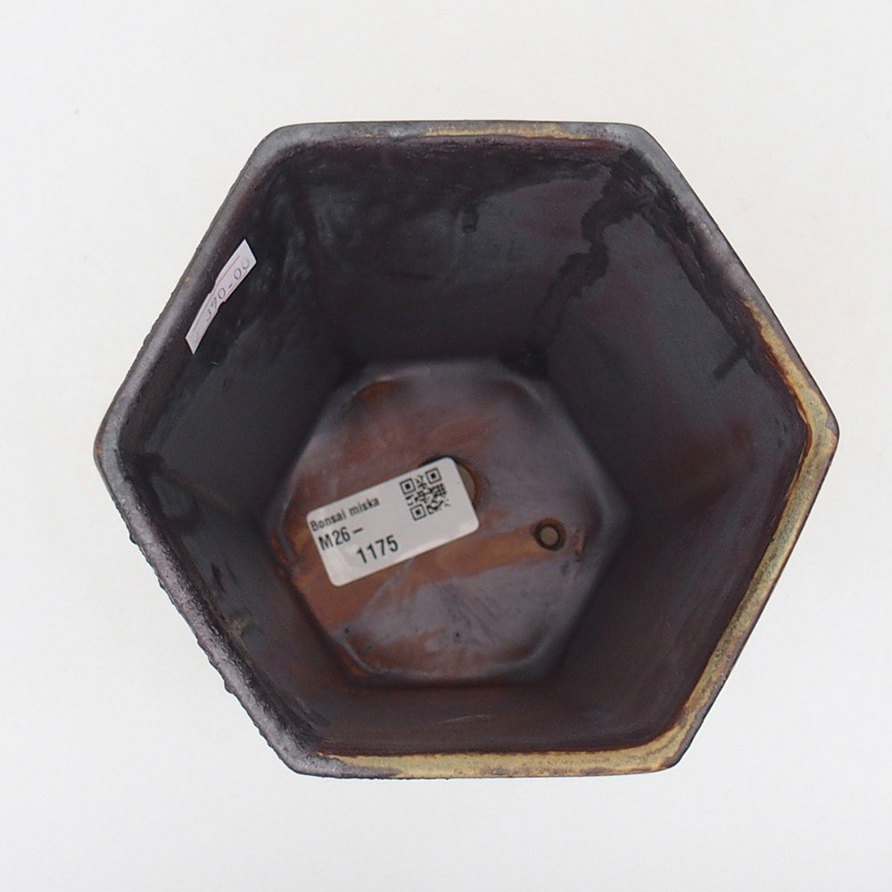 Ciotola bonsai in ceramica 13 x 11,5 x 17 cm, verde