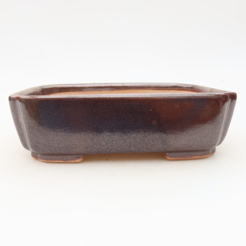 Ciotola per bonsai in ceramica 15 x 12,5 x 4,5 cm, marrone