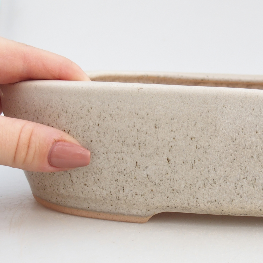 Ciotola per bonsai in ceramica 31,5 x 24 x 6 cm, colore beige
