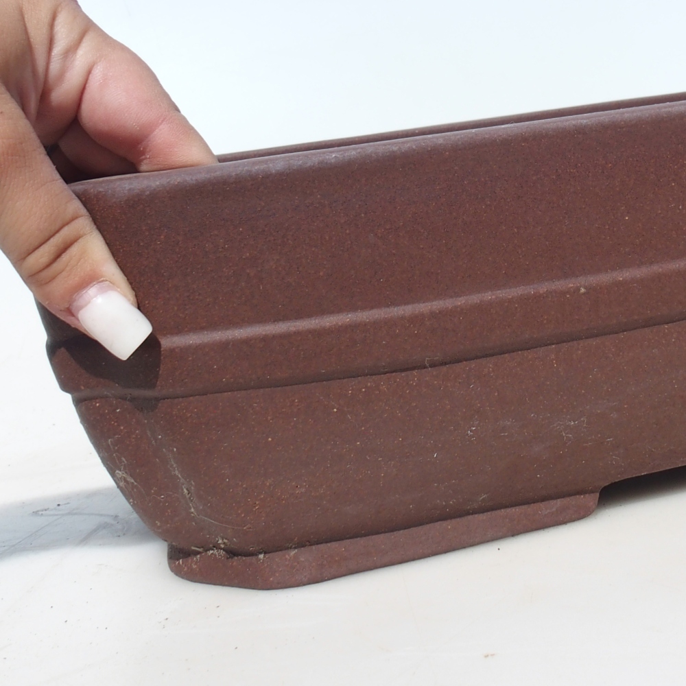 Ciotola per bonsai 41,5 x 32 x 10,5 cm betulla marrone