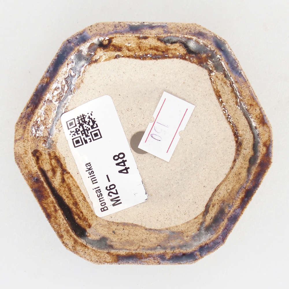 Ciotola per bonsai in ceramica 8,5 x 8 x 2,5 cm, marrone