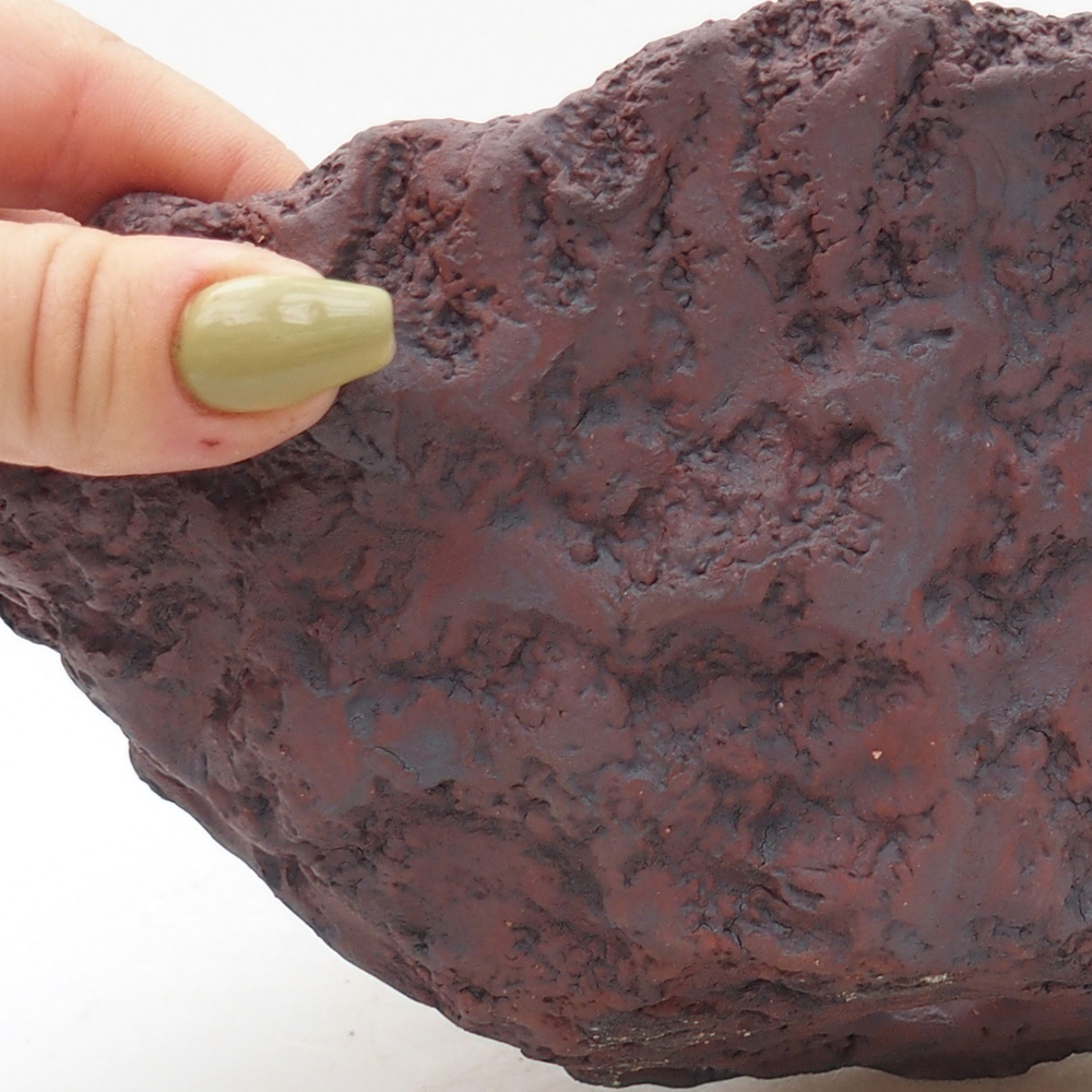 Conchiglia in ceramica 20 x 16 x 15,5 cm , colore marrone