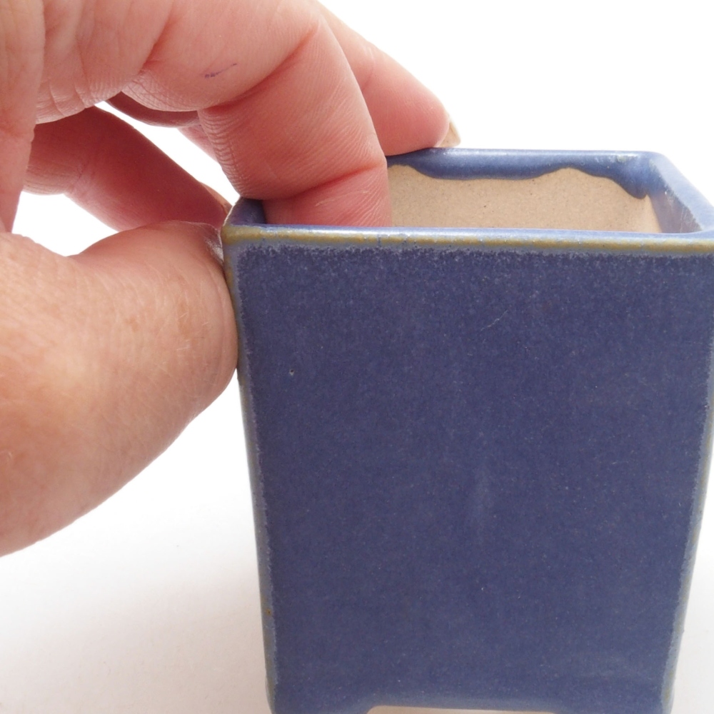 Mini bonsai 5,5 x 5,5 x 6,5 cm, colore blu