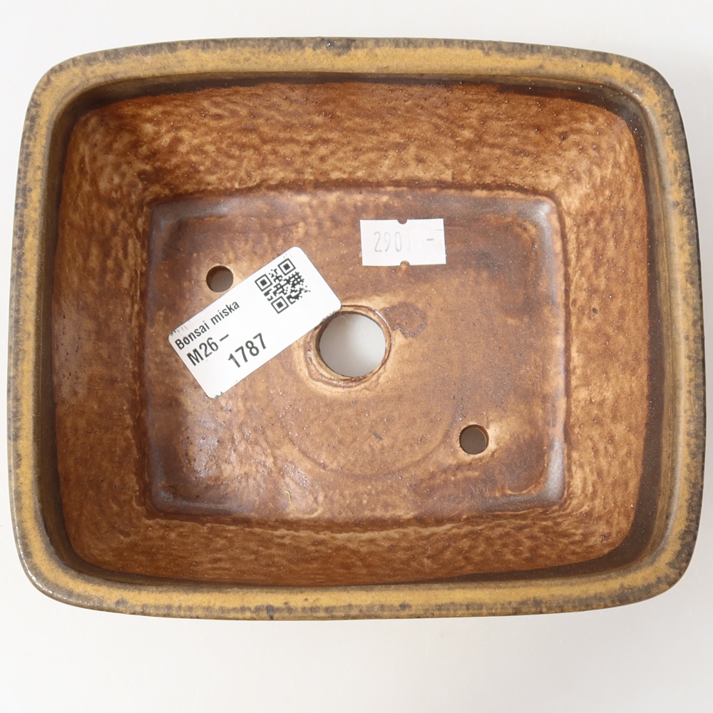 Vaso da bonsai in ceramica 15 x 12 x 5,5 cm, colore marrone
