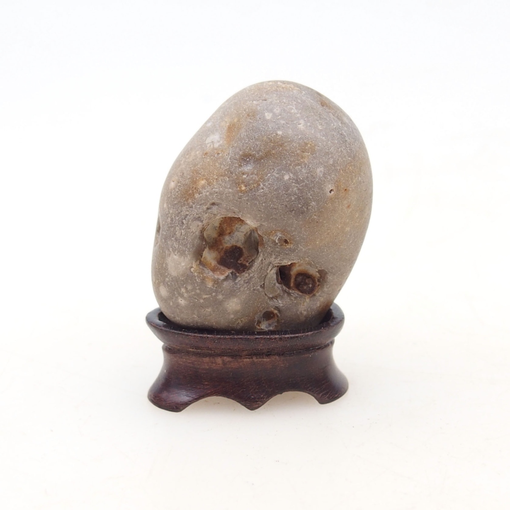 Suiseki - Pietra con DAI (base in legno)