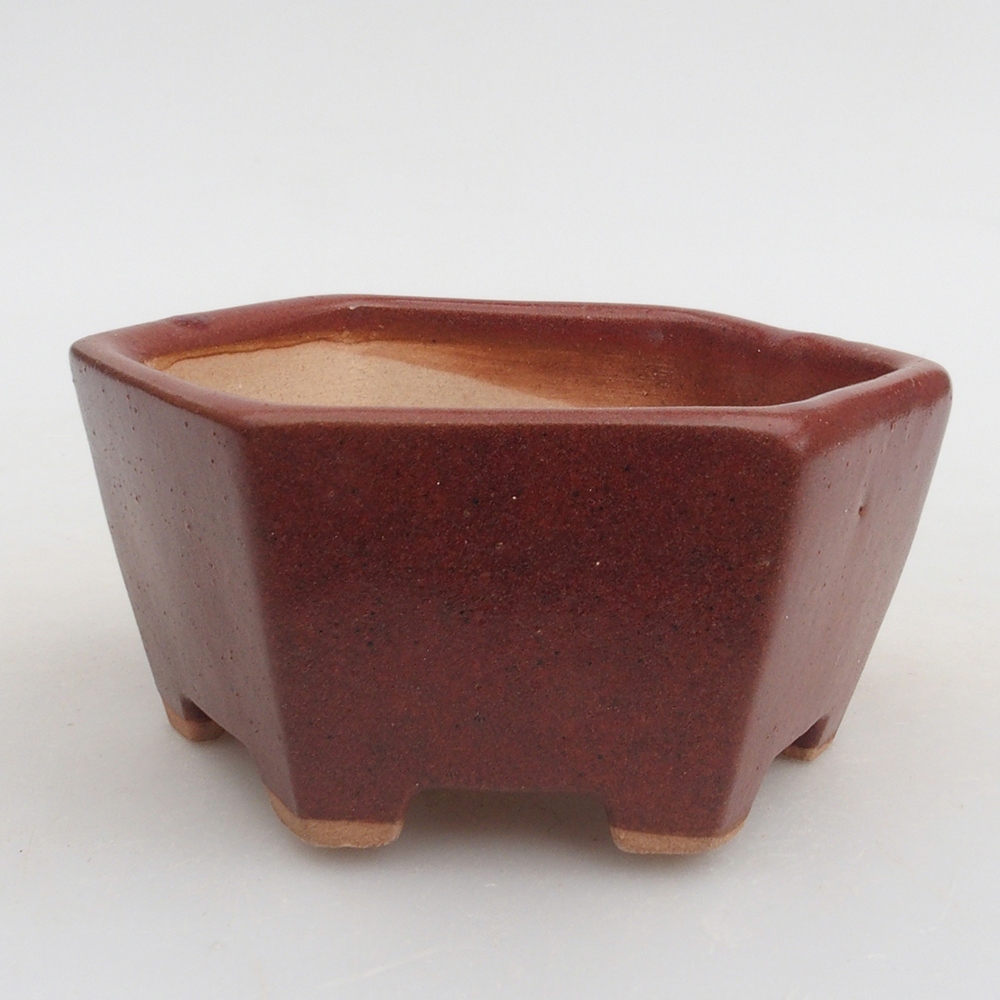 Ciotola per bonsai in ceramica 9,5 x 9 x 4,5 cm, marrone