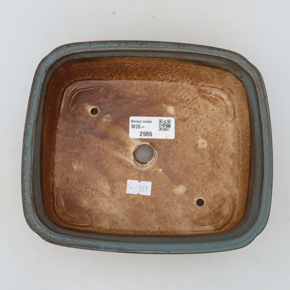 Vaso in ceramica per bonsai 20 x 17,5 x 6 cm, colore blu