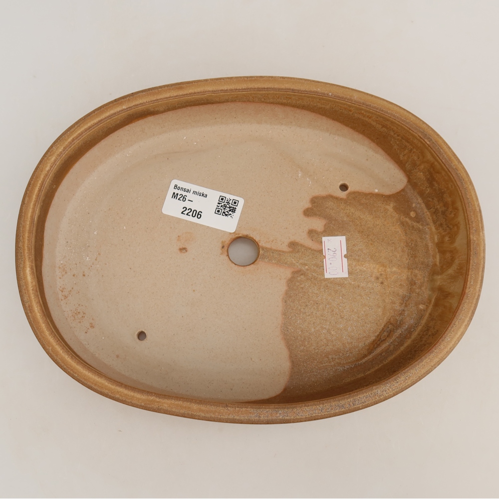 Ciotola bonsai in ceramica 22 x 17 x 4 cm, colore beige