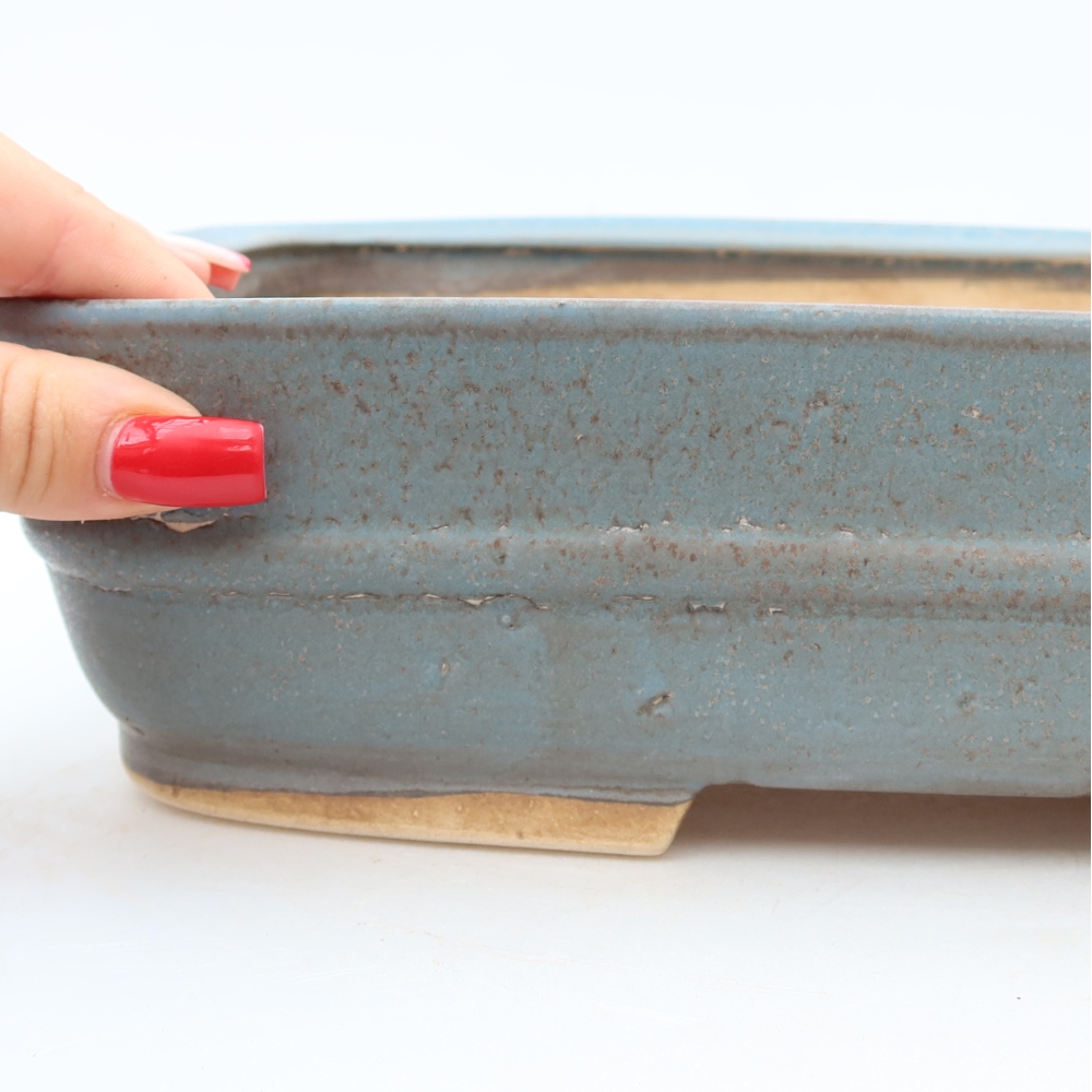 Vaso da bonsai in ceramica 29 x 23,5 x 7,5 cm, colore blu
