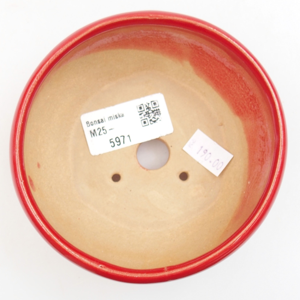 Ciotola bonsai in ceramica 22 x 17 x 5 cm, verde