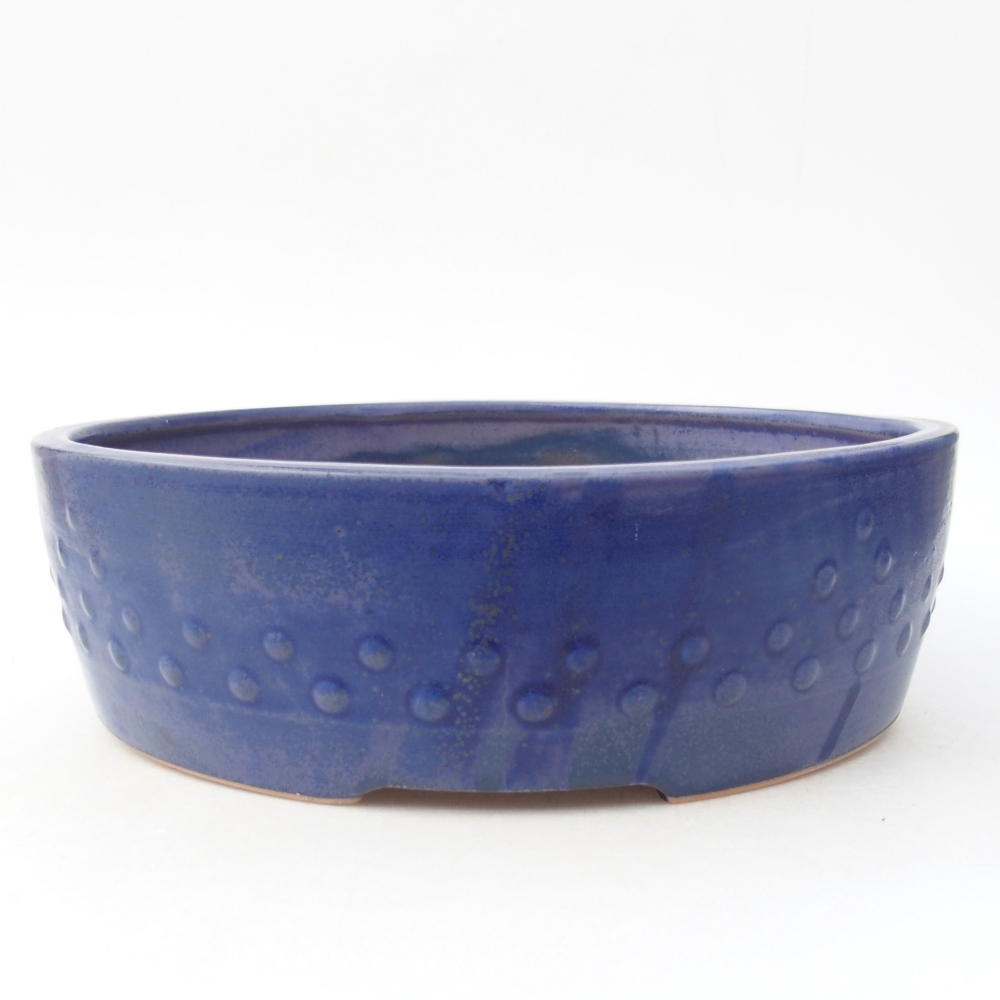 Ciotola bonsai in ceramica 24,5 x 24,5 x 7 cm, colore blu