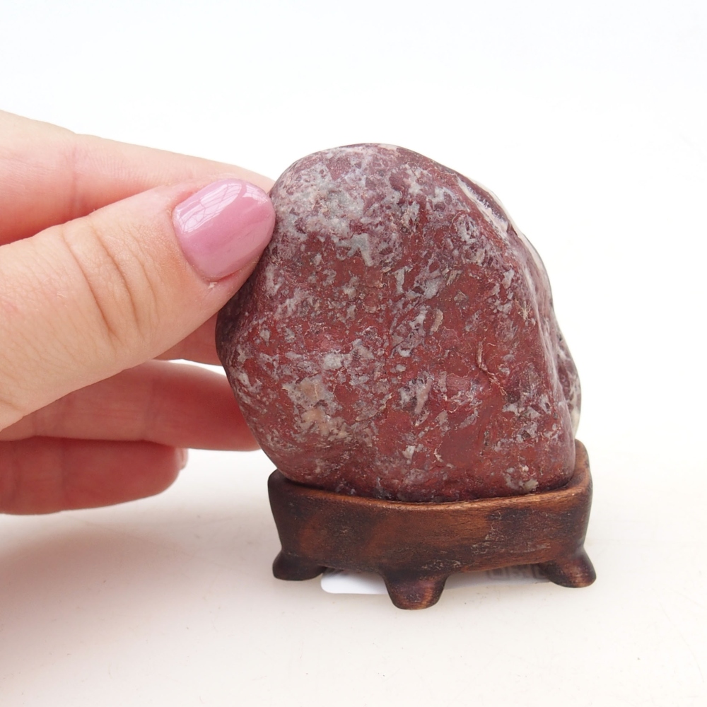 Suiseki - Pietra con DAI (base in legno)