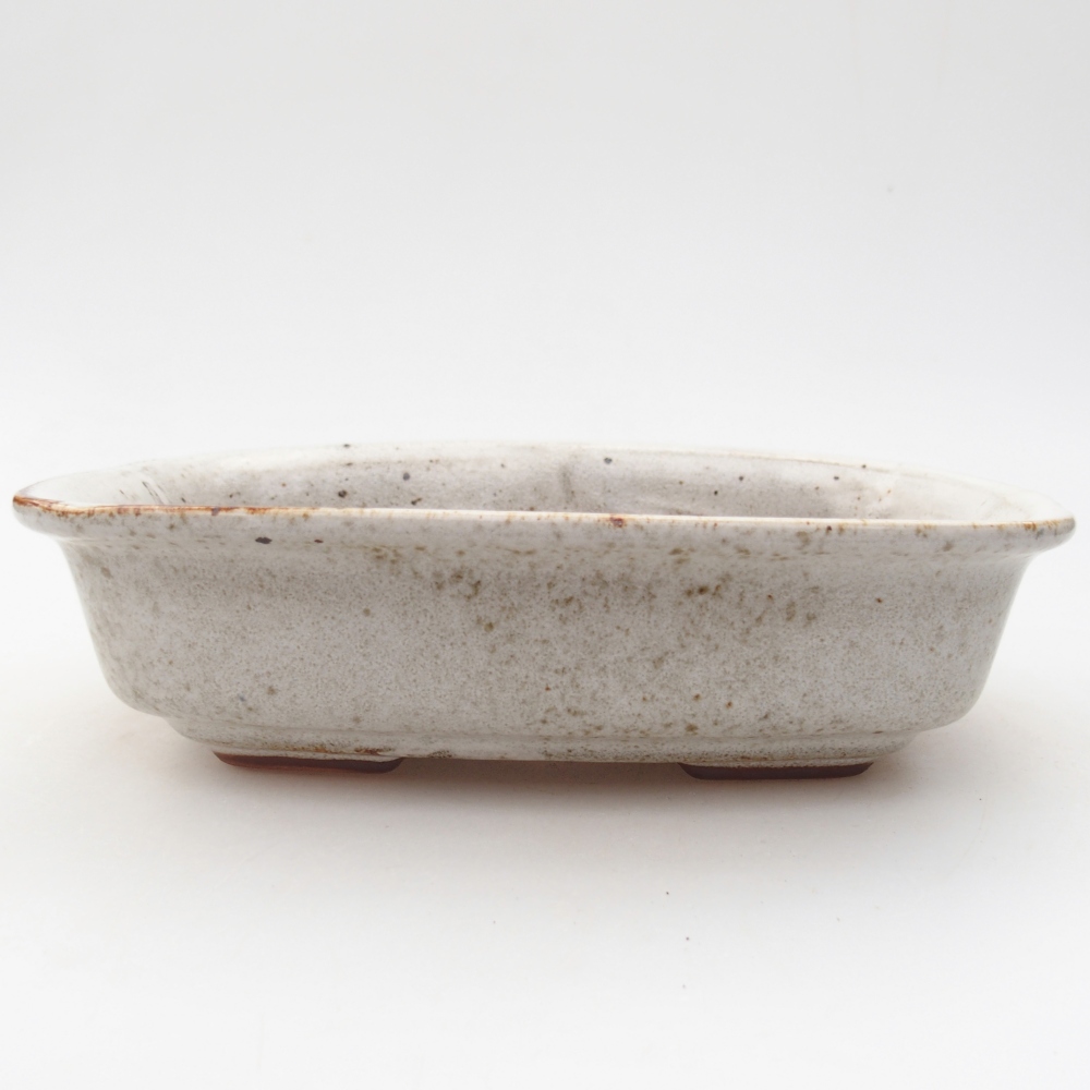Ciotola per bonsai in ceramica 18,5 x 13,5 x 5 cm, colore bianco