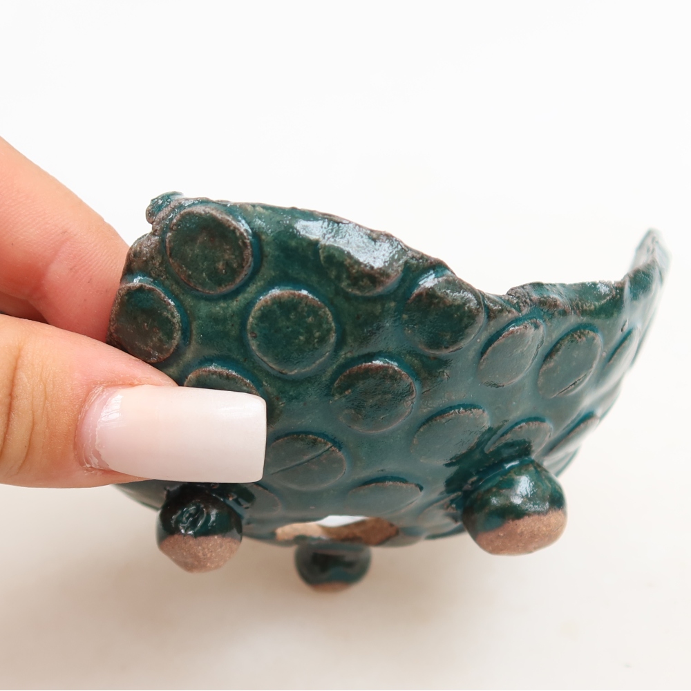 Guscio in ceramica  10 x 9 x 6 cm, colore verde