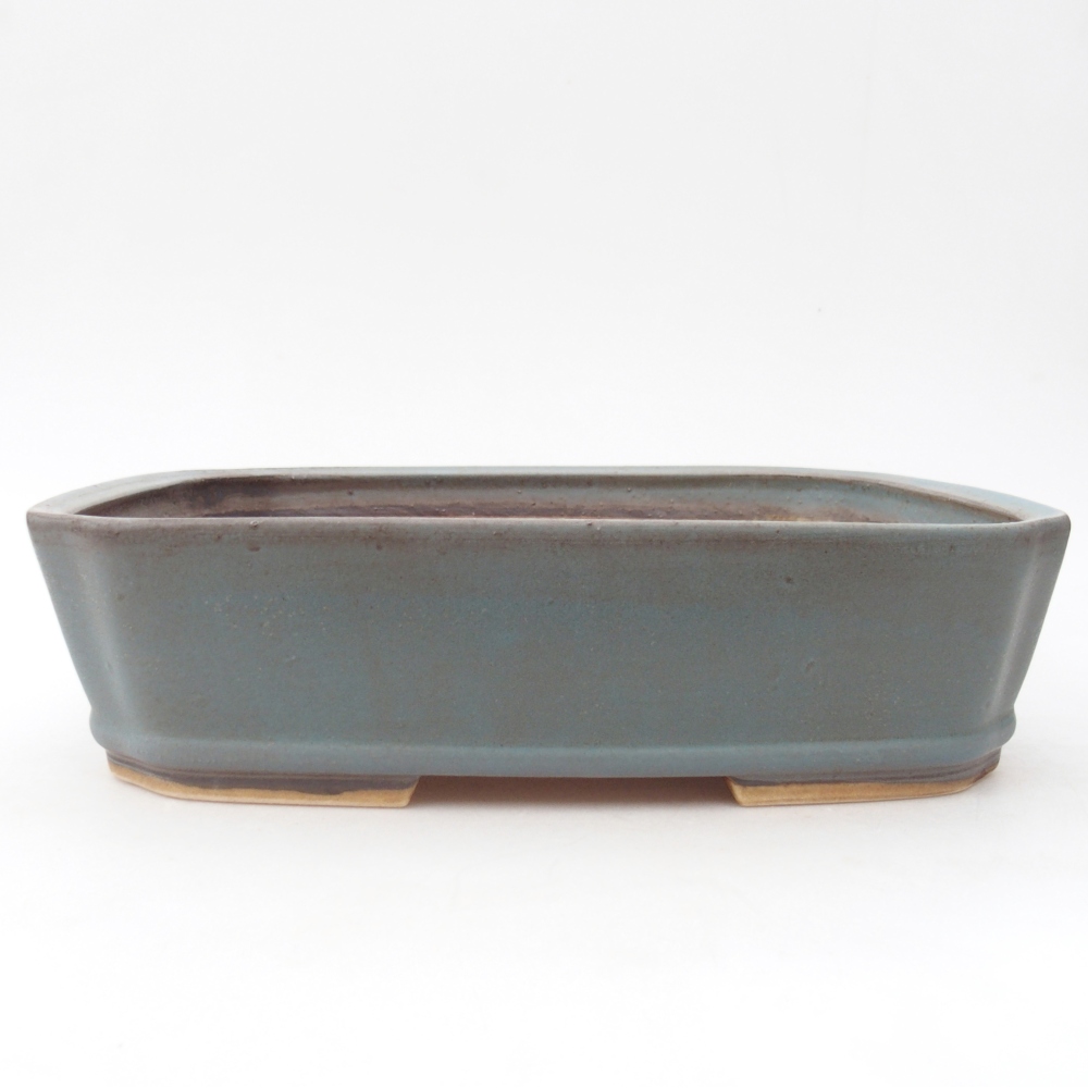 Ciotola bonsai in ceramica 25 x 21,5 x 6,5 cm, colore blu