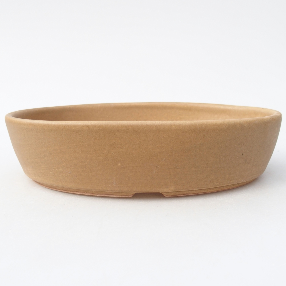 Ciotola bonsai in ceramica 18,5 x 13,5 x 4,5 cm, colore beige