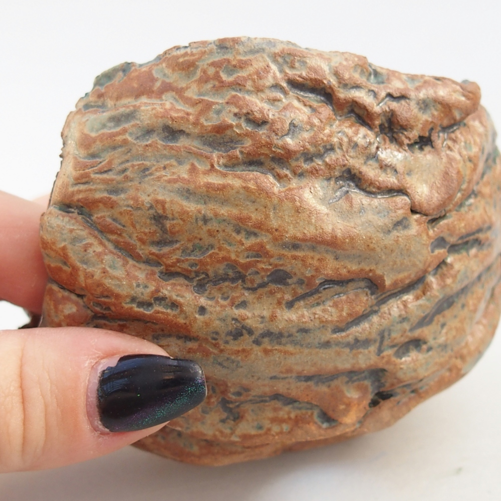 Conchiglia in ceramica 9,5 x 9,5 x 6,5 cm , colore marrone-verde