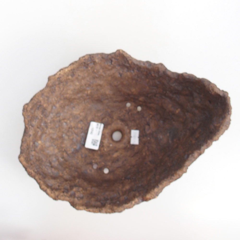 Conchiglia in ceramica 24 x 20 x 16,5 cm , colore marrone