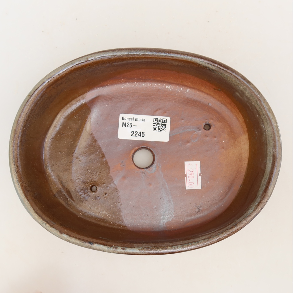 Vaso da bonsai in ceramica 19 x 14,5 x 5 cm, colore marrone