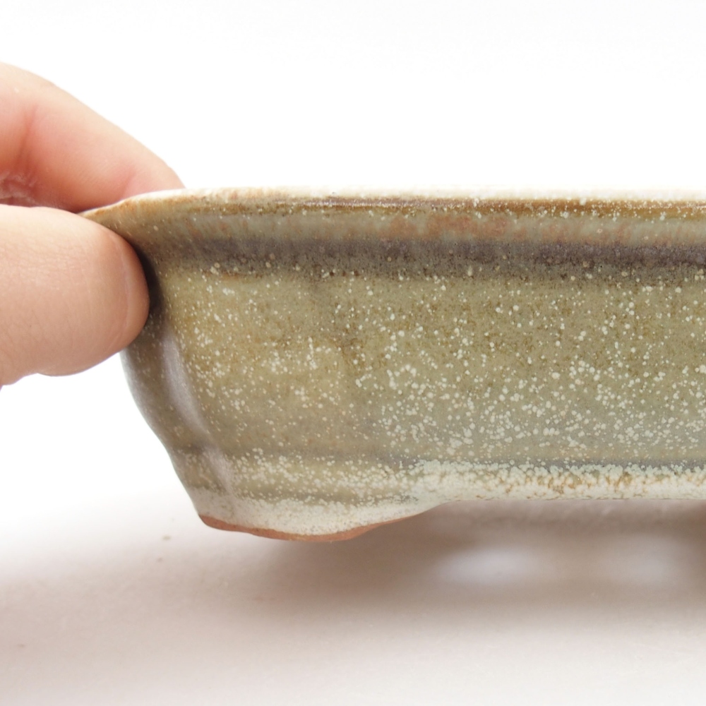 Ciotola bonsai in ceramica 22 x 17 x 5 cm, verde