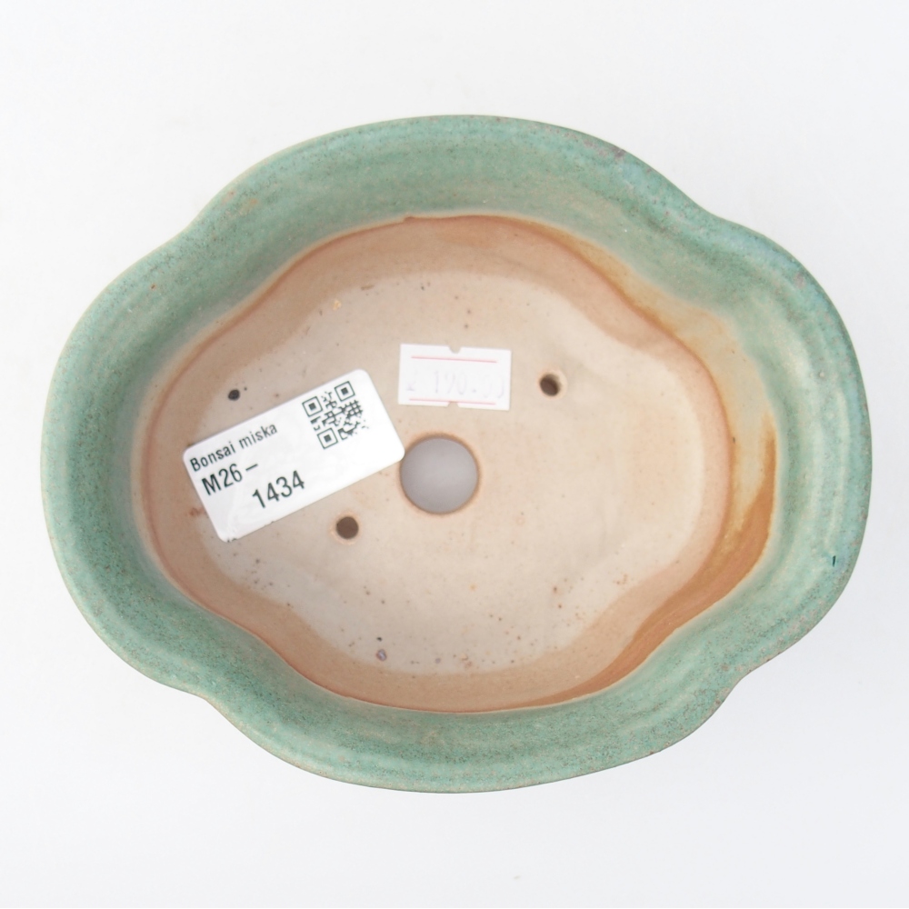 Ciotola bonsai in ceramica 13,5 x 11 x 5,5 cm, verde