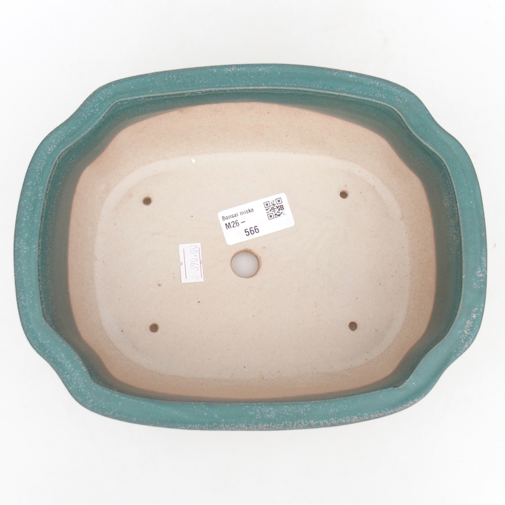 Ciotola bonsai in ceramica 22 x 18 x 7,5 cm, colore blu