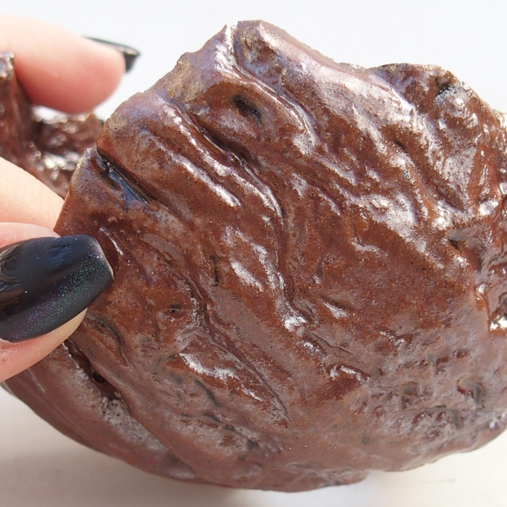 Conchiglia in ceramica 10 x 10 x 7 cm , colore marrone