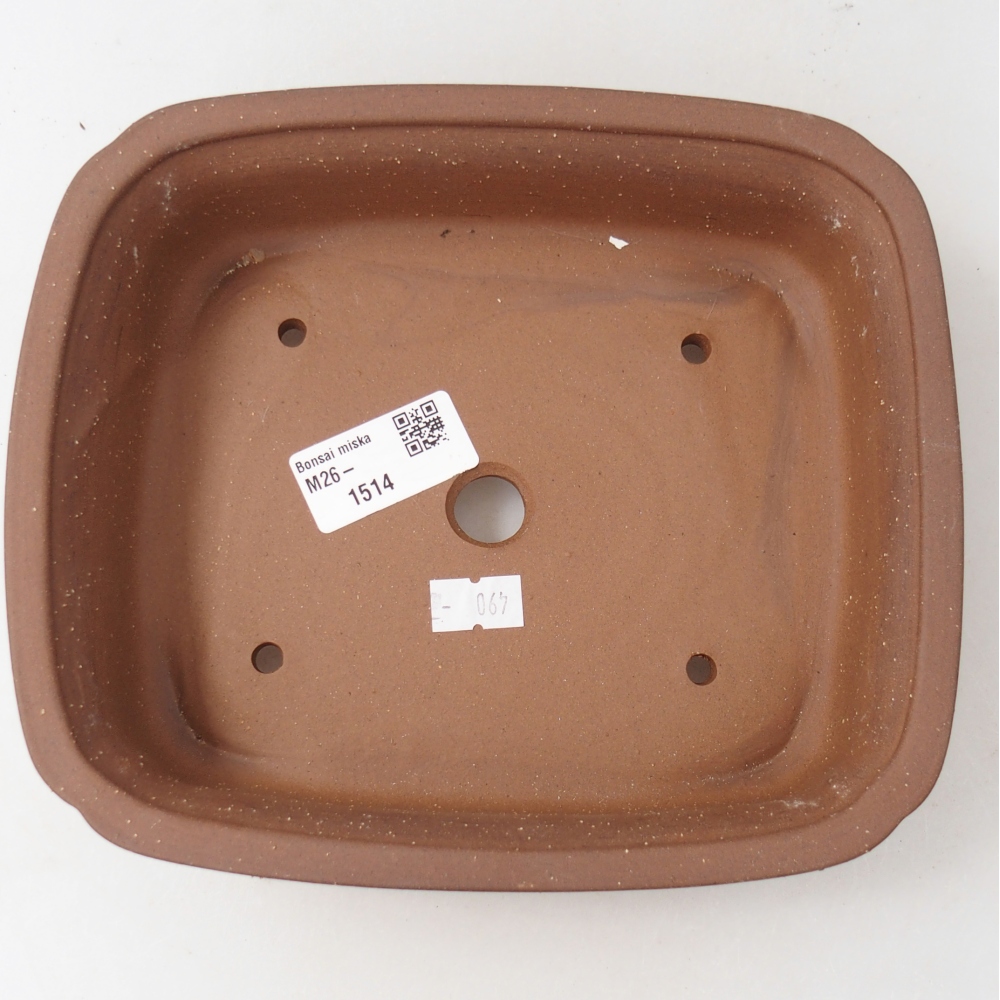 Ciotola per bonsai in ceramica 19,5 x 17 x 5,5 cm, marrone