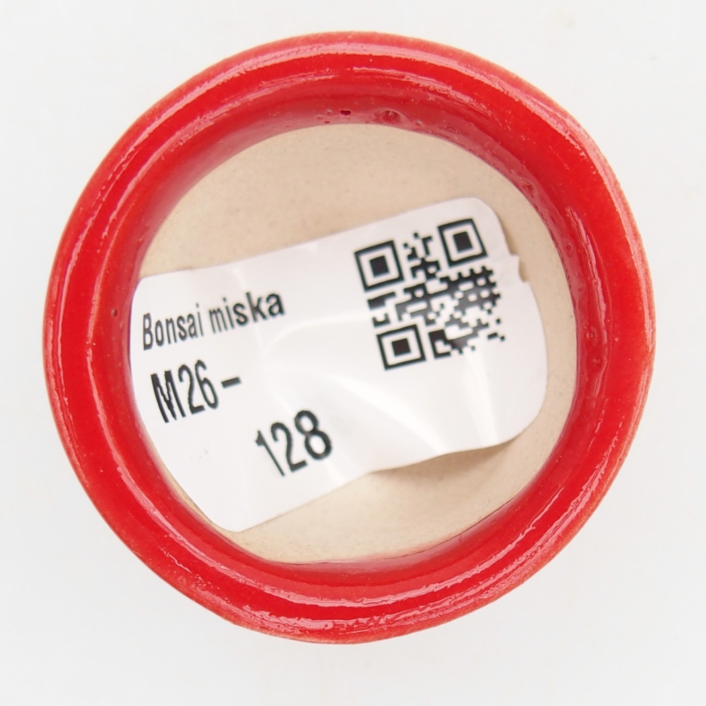 Mini bonsai 4 x 4 x 2,5 cm, colore rosso