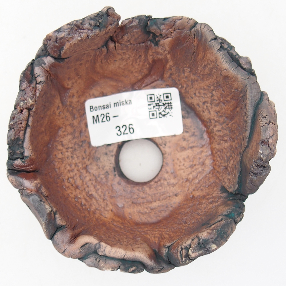 Conchiglia in ceramica 9 x 9 x 6 cm , colore verde