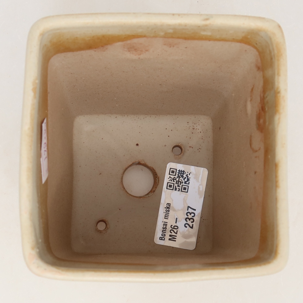 Vaso da bonsai in ceramica 9 x 9 x 11,5 cm, colore beige