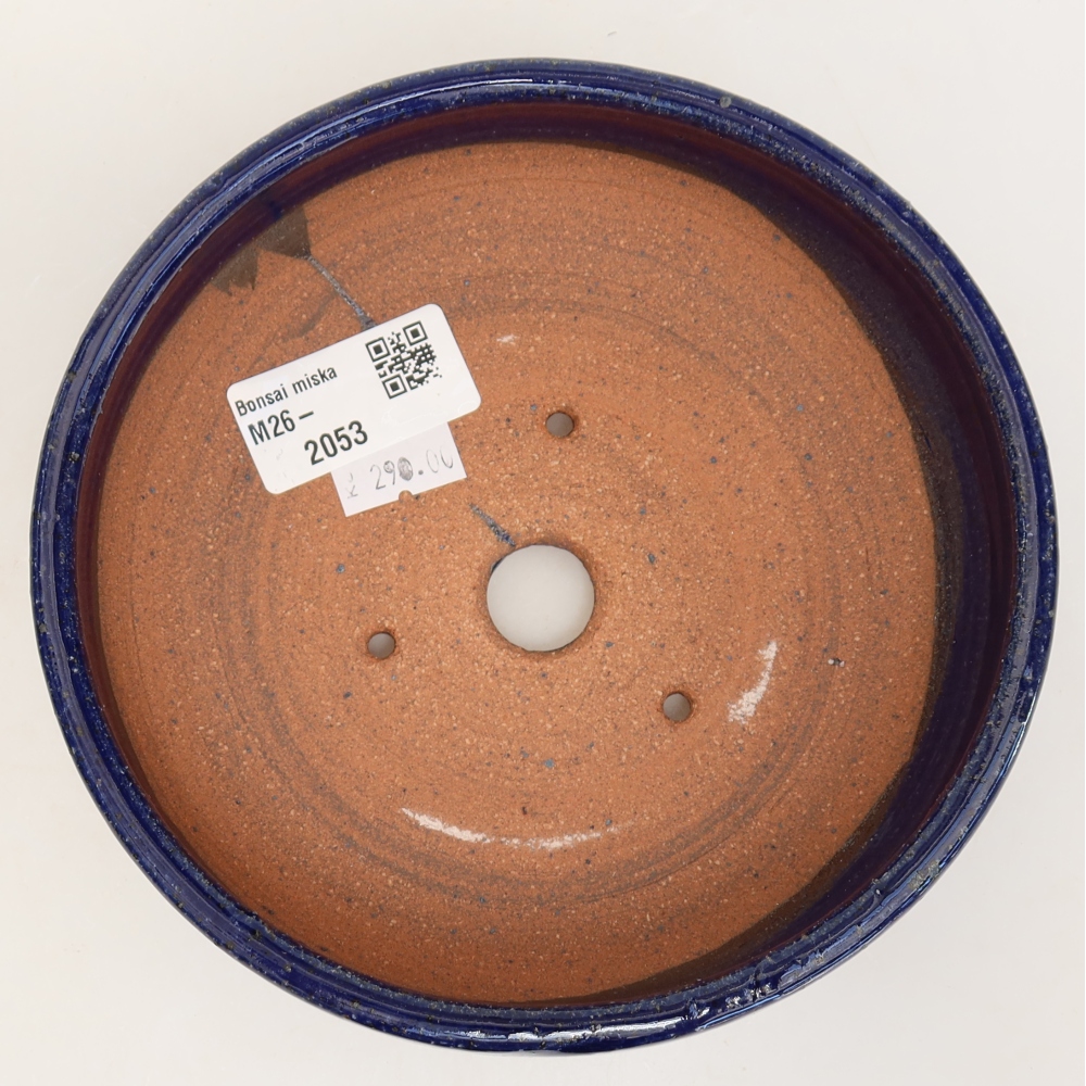 Vaso da bonsai in ceramica 15,5 x 15,5 x 5 cm, colore blu