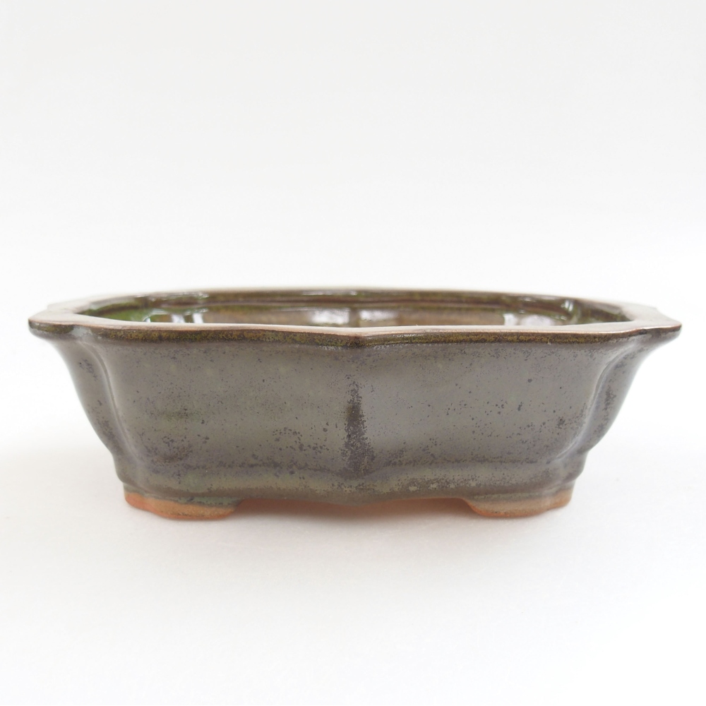 Ciotola bonsai in ceramica 22 x 17 x 5 cm, verde