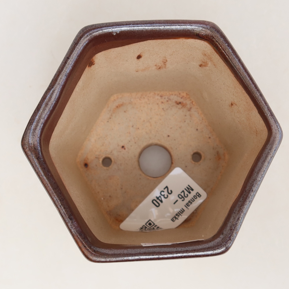 Vaso in ceramica per bonsai 9 x 8 x 8 cm, colore marrone