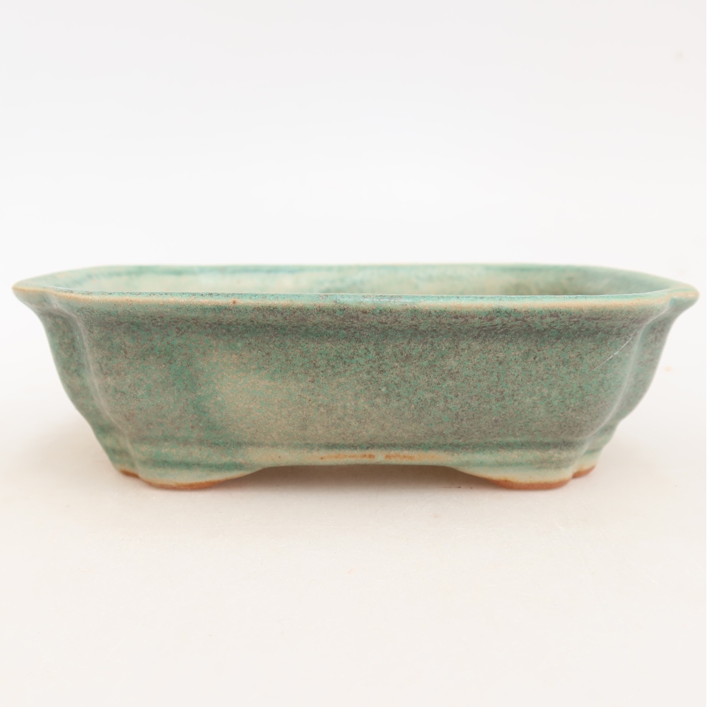 Ciotola per bonsai in ceramica 15,5 x 12 x 4,5 cm, verde