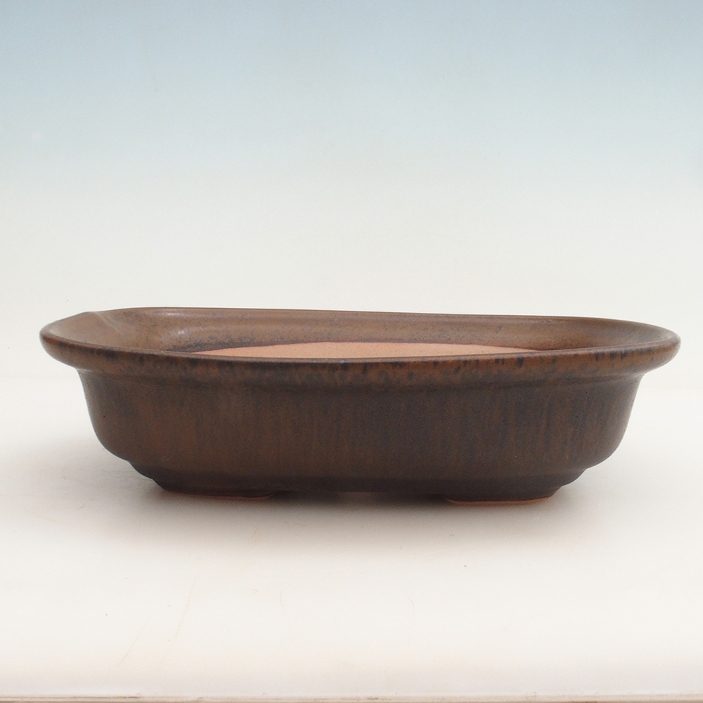 Ciotola per bonsai H25 - 23 x 17 x 5,5 cm - marrone