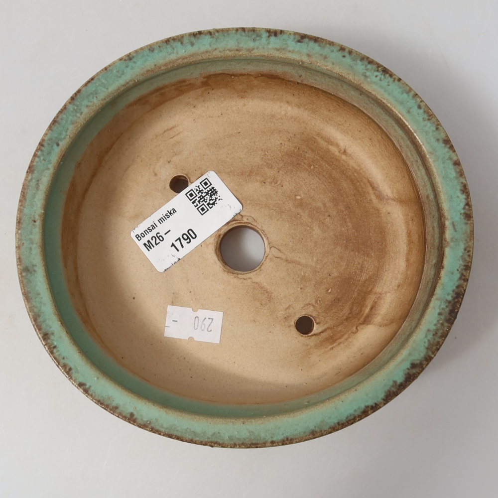 Vaso da bonsai in ceramica 15,5 x 14,5 x 4 cm, colore verde