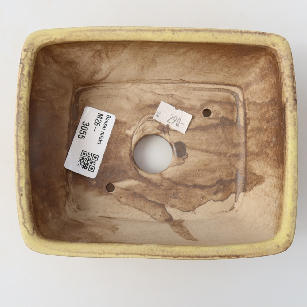 Vaso da bonsai in ceramica 15 x 12,5 x 5,5 cm, colore giallo