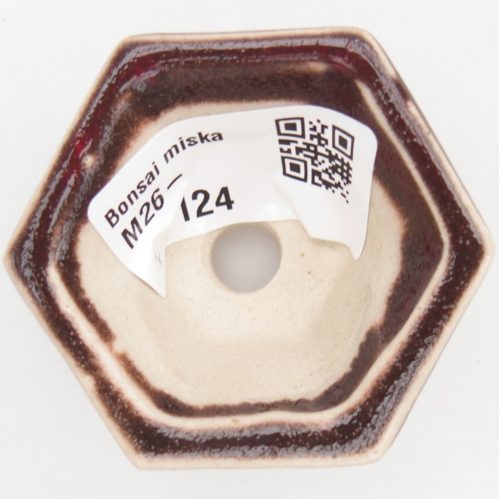 Mini bonsai 5,5 x 5 x 3 cm, colore rosso