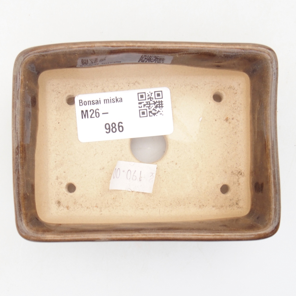 Ciotola per bonsai in ceramica 10 x 7 x 3,5 cm, marrone