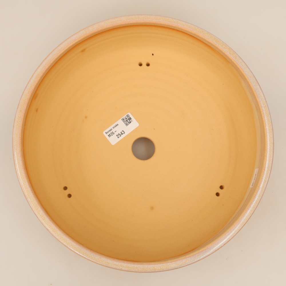 Vaso da bonsai in ceramica 27 x 27 x 7 cm, colore beige